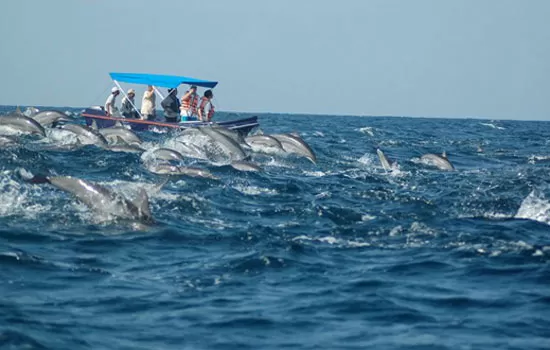 Photo of Kalpitiya Lagoon, Puttalam, North Western Province, Sri Lanka by Tripoto
