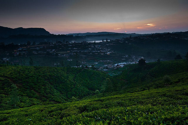 Photo of With Elephants, Turtles, And More Exotic Wildlife, Sri Lanka Makes For A Great Family Getaway by Tripoto