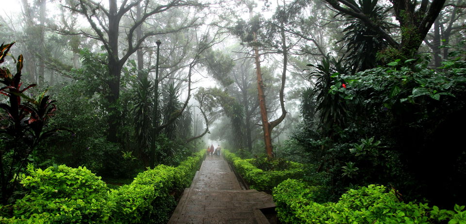 Photo of Nandi Hills, Karnataka, India by Tripoto