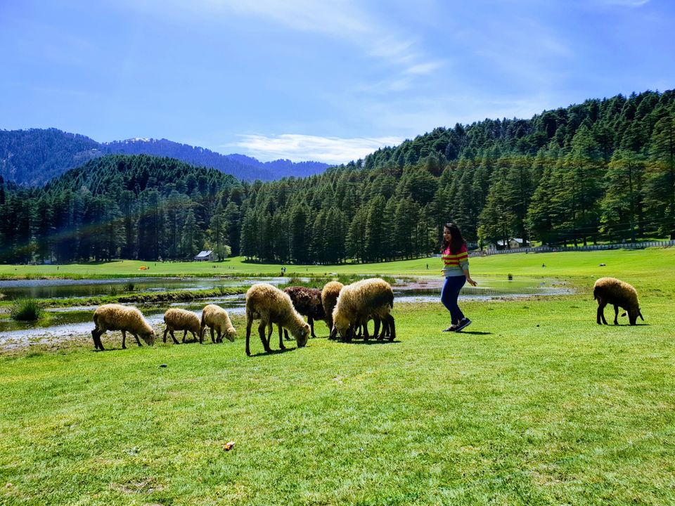 Photo of Khajjiar, Himachal Pradesh, India by Rasika Late