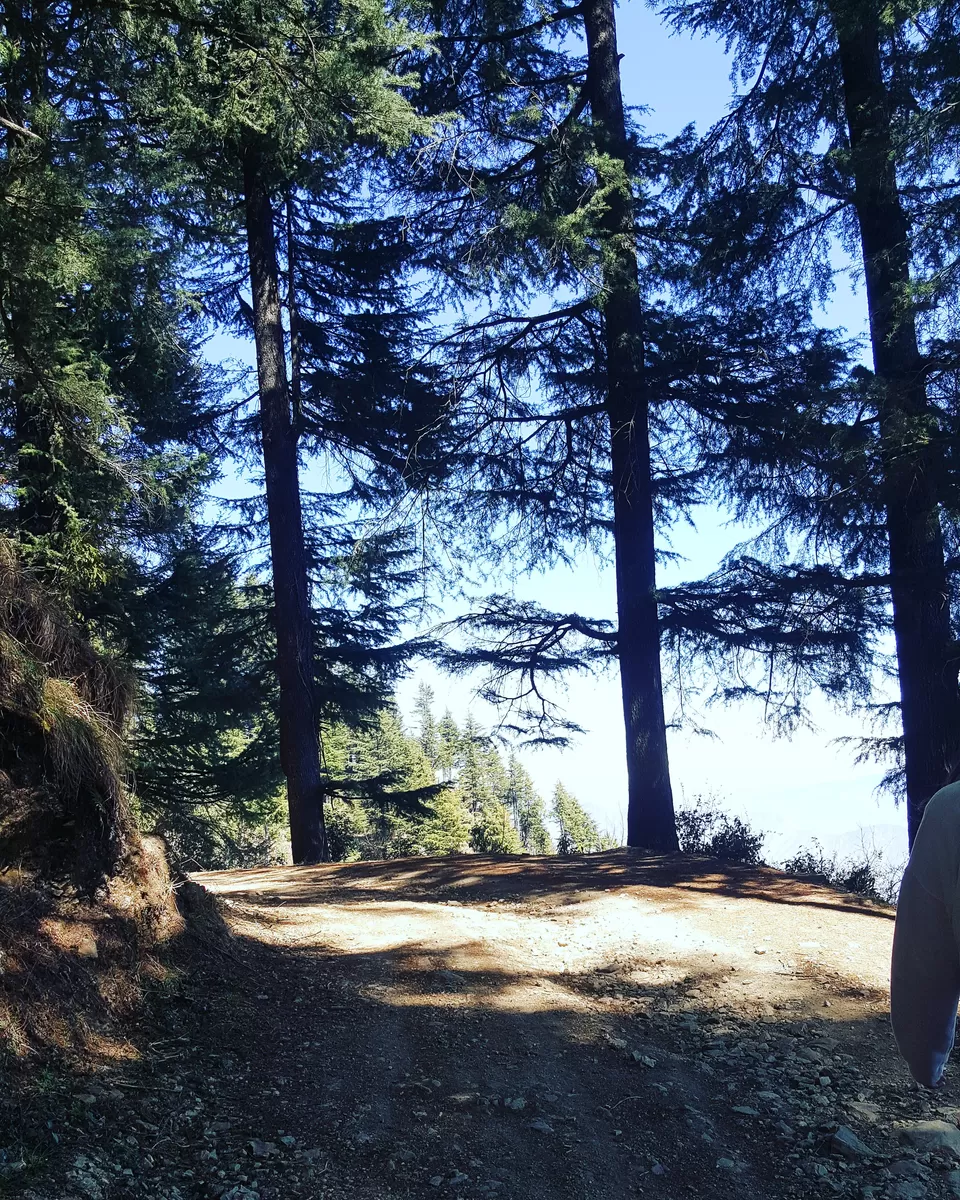 Photo of Step into the magnificent land of Kanatal - Perfect Weekend getaway from Delhi by Aastha Sharma