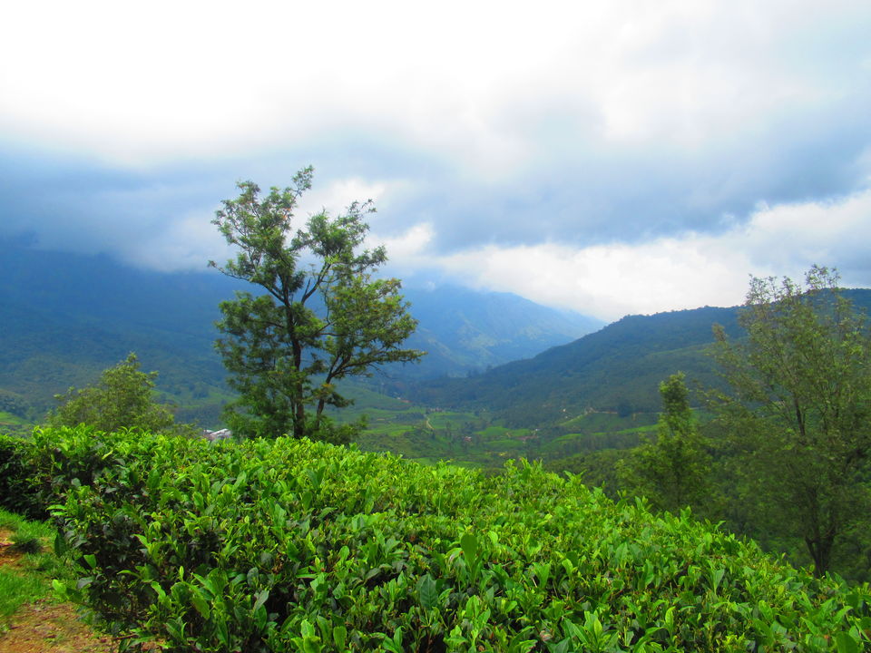 Photo of Kerala itinerary and some experiences of lifetime! 1/5 by TheWanderGirl