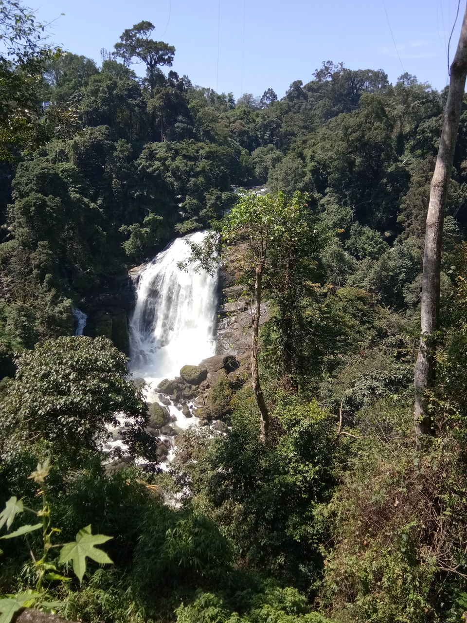 Photo of Kerala itinerary and some experiences of lifetime! 4/5 by TheWanderGirl