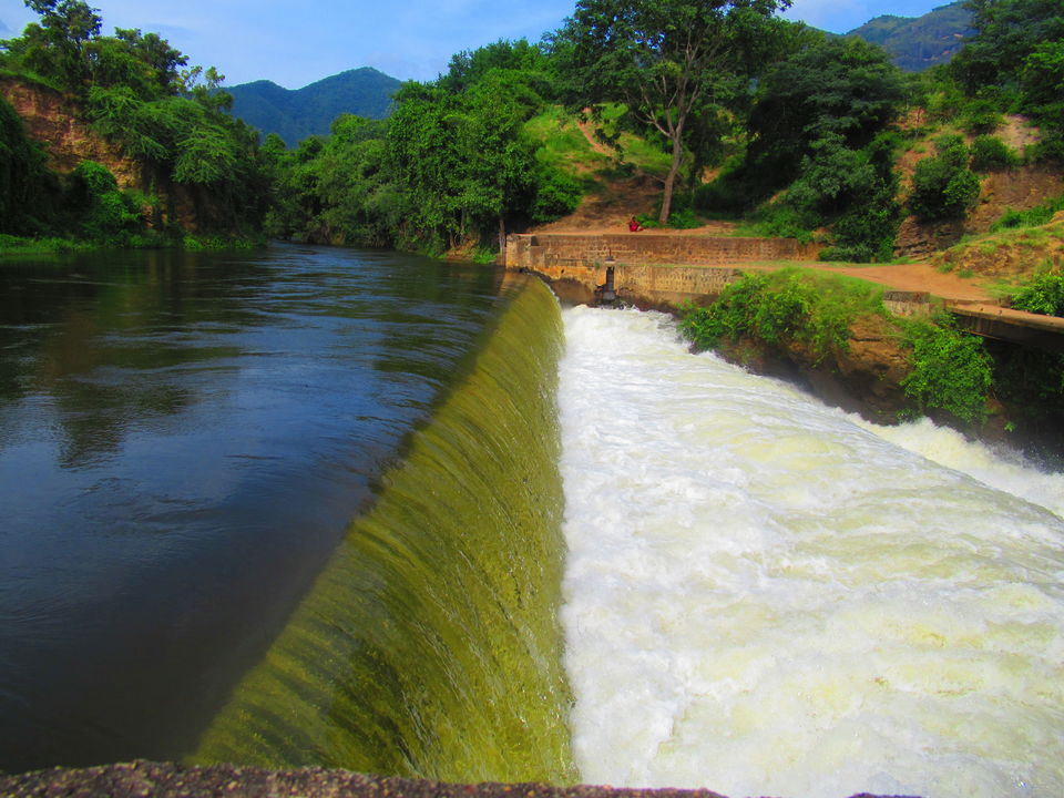 Photo of Thekkady, Kerala, India by TheWanderGirl