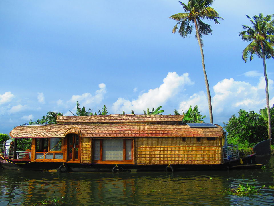 Photo of Periyar Tiger Reserve, Kerala, India by TheWanderGirl