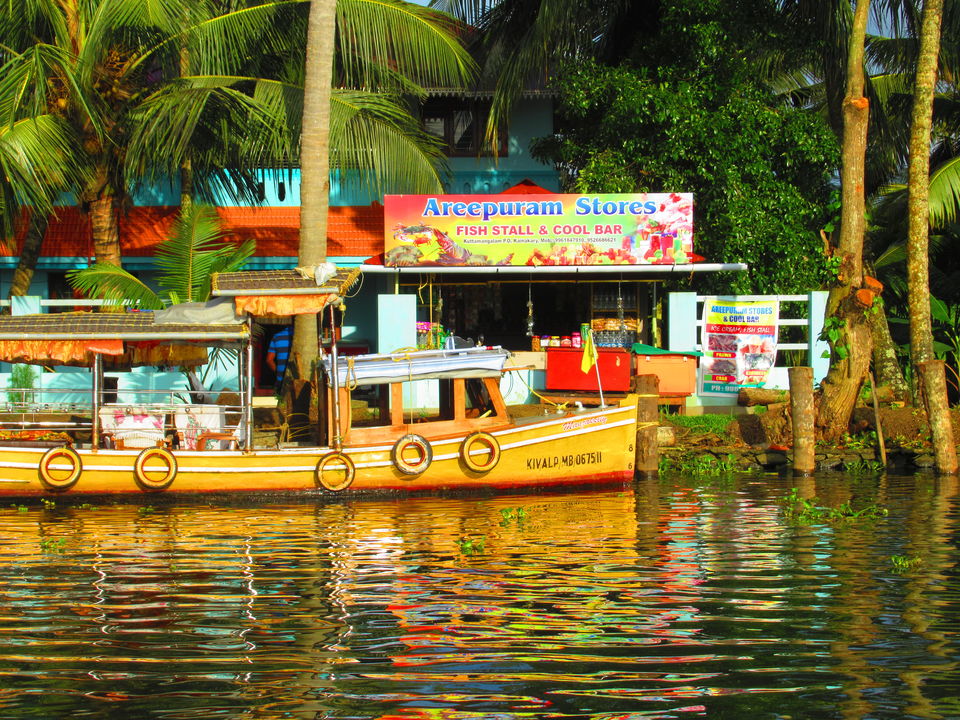 Photo of Periyar Tiger Reserve, Kerala, India by TheWanderGirl
