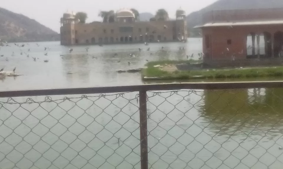 Photo of Jal Mahal, Amer Road, Jal Mahal, Amer, Jaipur, Rajasthan, India by Kajal Agrawal