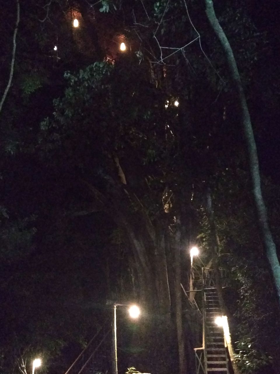 Photo of Travelogue - Enchanting Vythiri by Vikram Mn