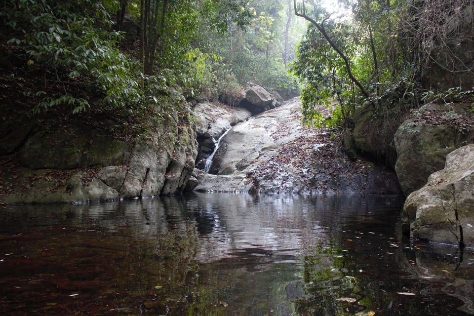 Photo of Travelogue - Enchanting Vythiri by Vikram Mn
