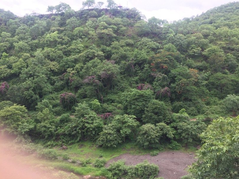 Photo of Ajanta caves, Thana, Maharashtra, India by Neelesh Chandola
