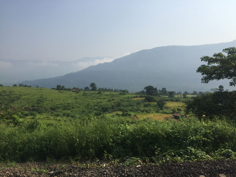 Photo of A FORAY INTO THE WILD by Neelesh Chandola