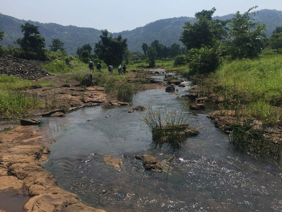 Photo of A FORAY INTO THE WILD by Neelesh Chandola