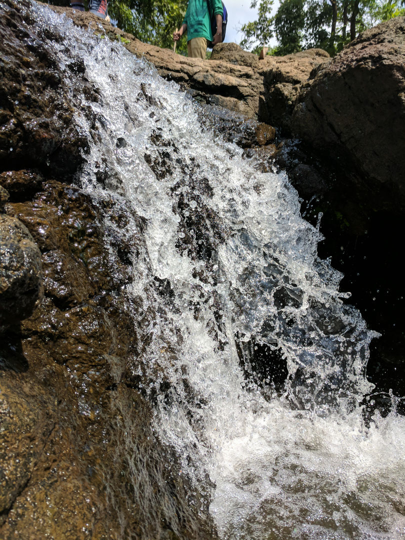 Photo of A FORAY INTO THE WILD by Neelesh Chandola