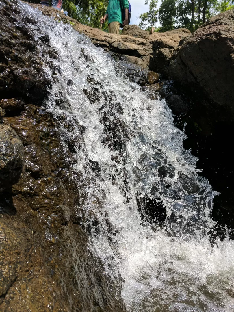 Photo of A FORAY INTO THE WILD by Neelesh