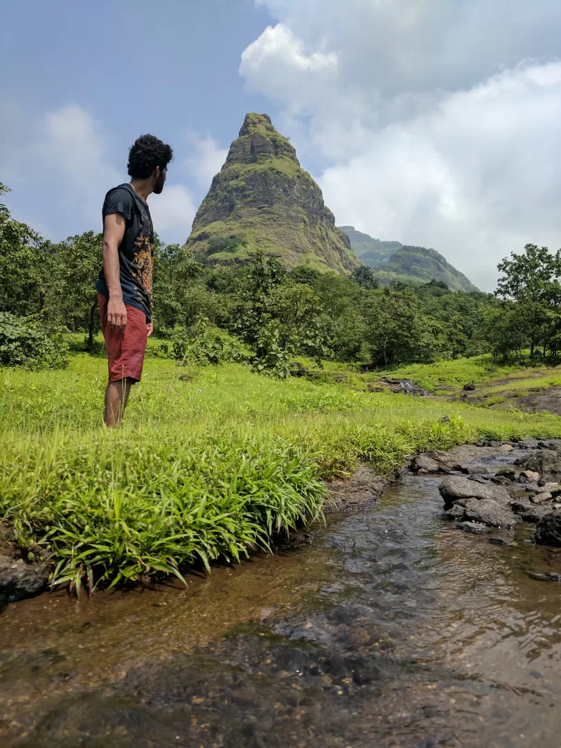 Photo of A FORAY INTO THE WILD by Neelesh