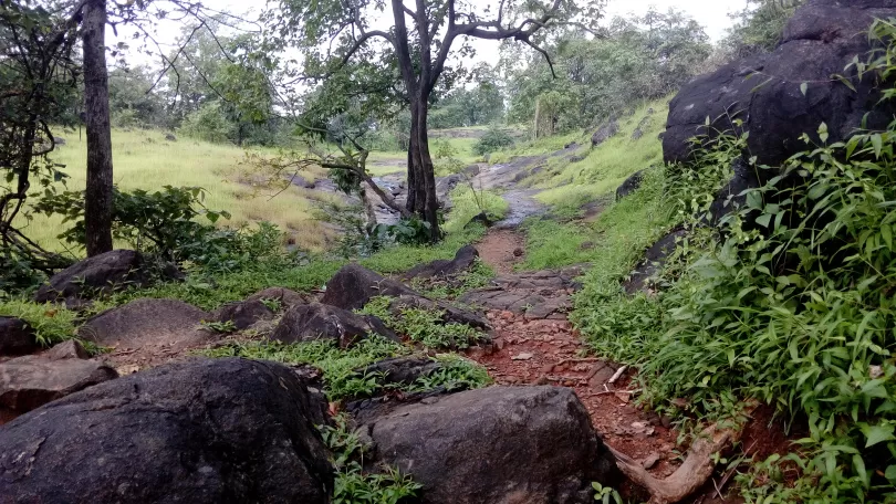 Photo of A FORAY INTO THE WILD by Neelesh