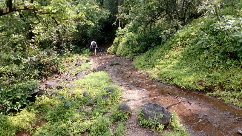 Photo of Bhimashankar, Maharashtra, India by Neelesh Chandola