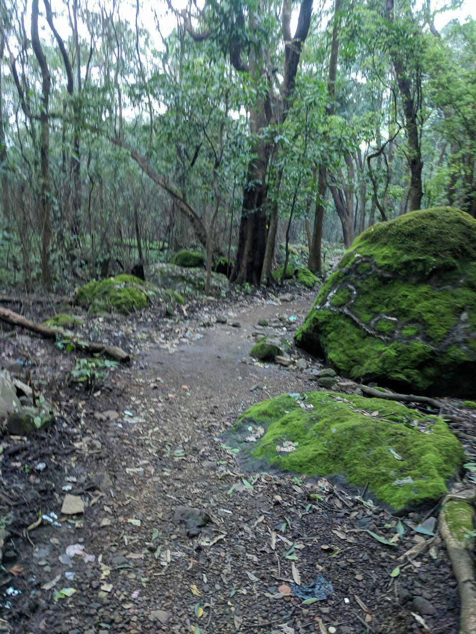 Photo of Bhimashankar, Maharashtra, India by Neelesh Chandola