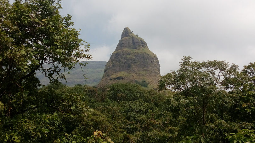 Photo of A FORAY INTO THE WILD by Neelesh Chandola