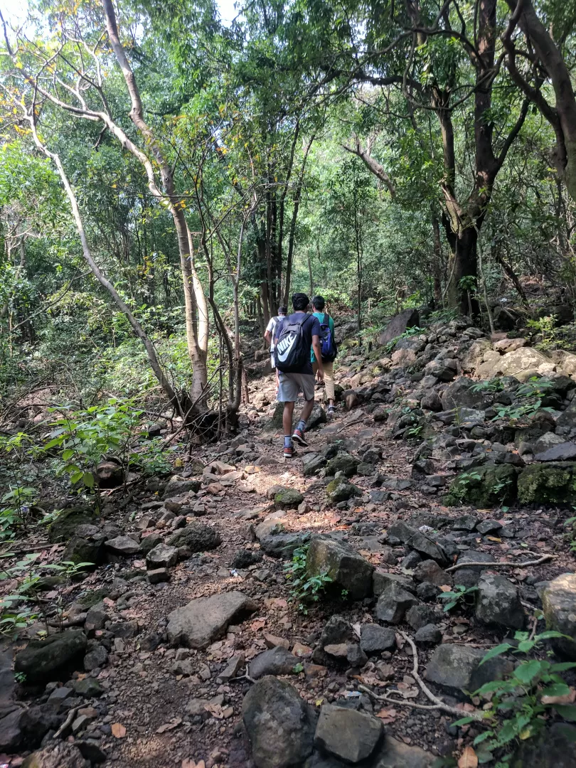 Photo of A FORAY INTO THE WILD by Neelesh