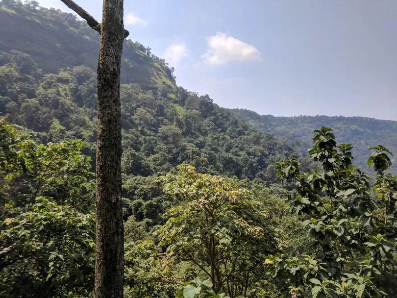 Photo of A FORAY INTO THE WILD by Neelesh