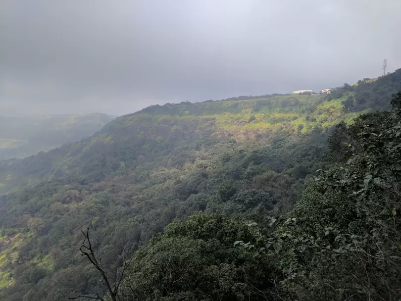Photo of A FORAY INTO THE WILD by Neelesh