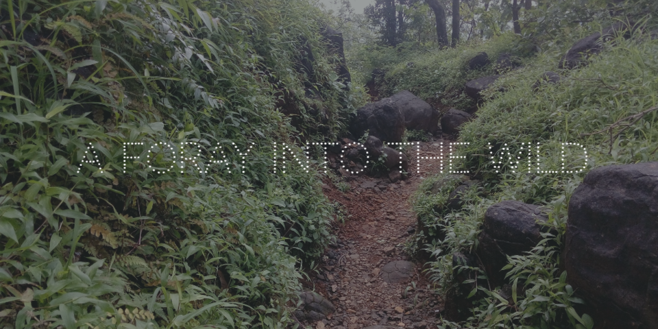 Photo of A FORAY INTO THE WILD by Neelesh