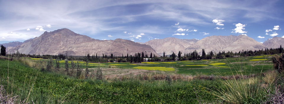 Photo of Mission Ladakh Accomplished ! 101/203 by Gaurav Singh Bawa