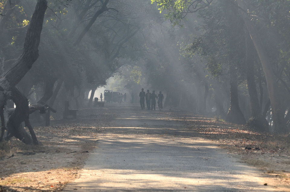 Photo of Bharatpur Bird Sanctuary or Keoladeo Ghana National Park at Bharatpur. 1/8 by Bikram Jeet