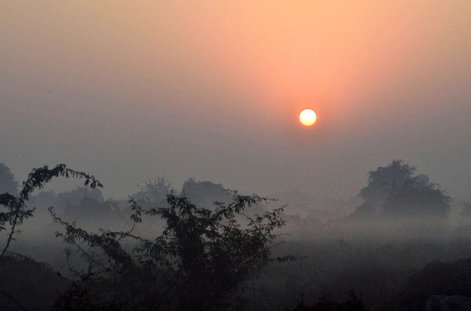 Photo of Bharatpur Bird Sanctuary or Keoladeo Ghana National Park at Bharatpur. 2/8 by Bikram Jeet