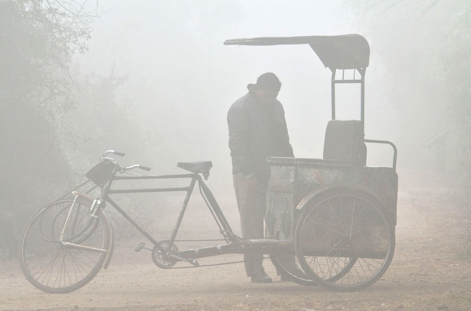 Photo of Bharatpur Bird Sanctuary or Keoladeo Ghana National Park at Bharatpur. 8/8 by Bikram Jeet