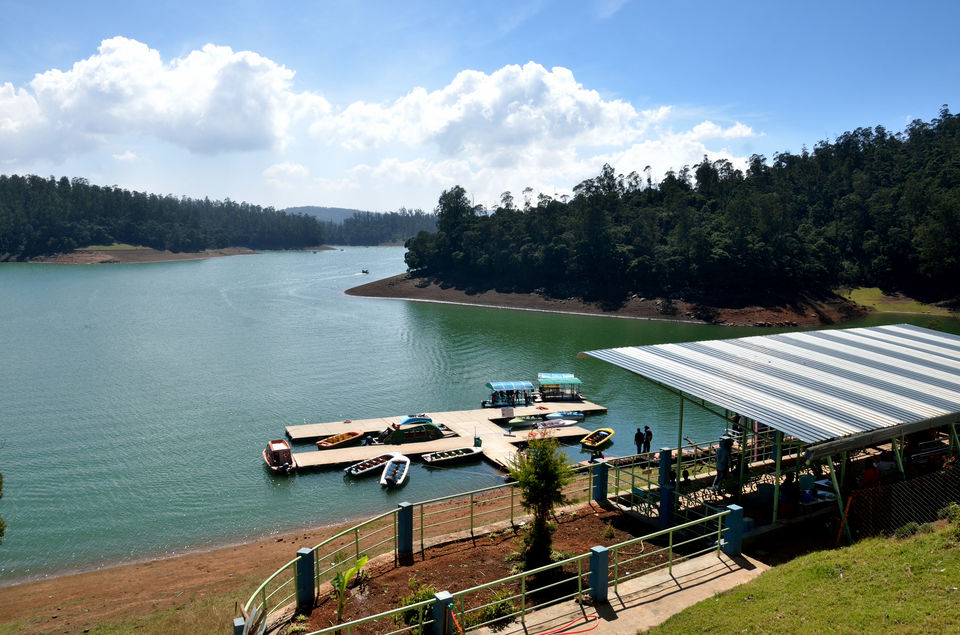 Photo of Ooty & Coonoor- few days in the lap of blue mountains. 3/11 by Bikram Jeet