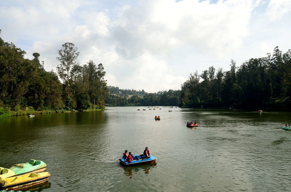 Photo of Ooty & Coonoor- few days in the lap of blue mountains. 4/11 by Bikram Jeet