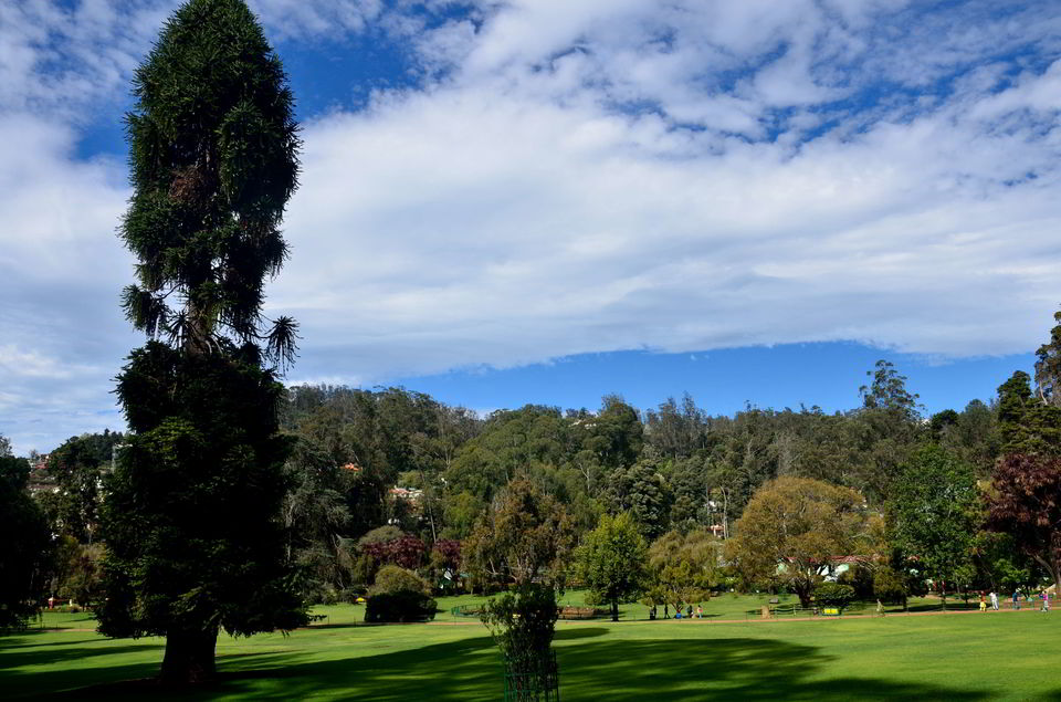 Photo of Ooty & Coonoor- few days in the lap of blue mountains. 10/11 by Bikram Jeet