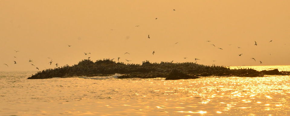 Photo of St. Mary's Island- a small wonderland. 2/6 by Bikram Jeet