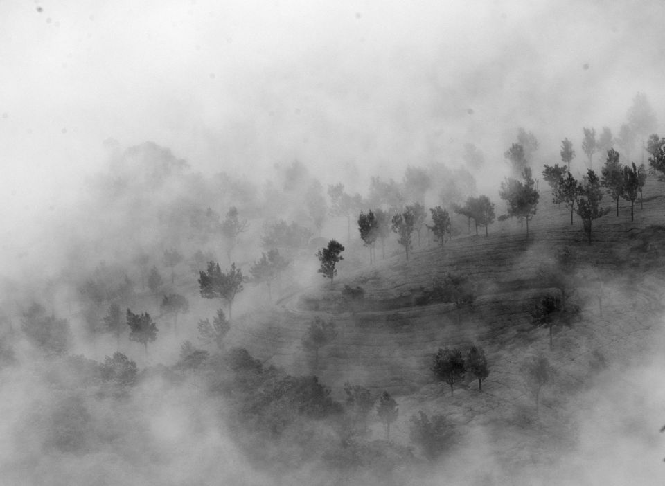 Photo of Munnar- The Kashmir of Kerala! by Bikram Jeet