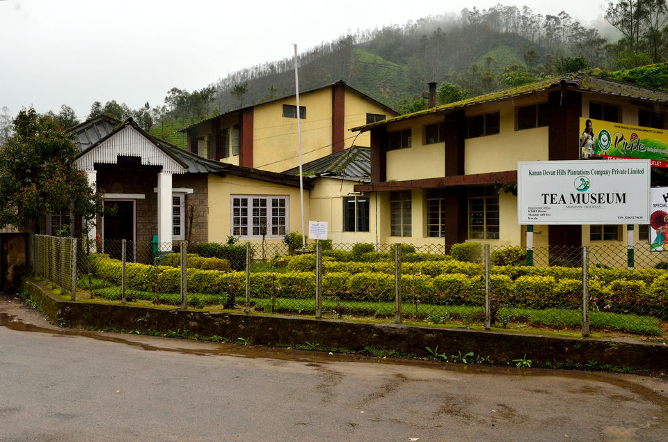 Photo of Munnar- The Kashmir of Kerala! 10/10 by Bikram Jeet