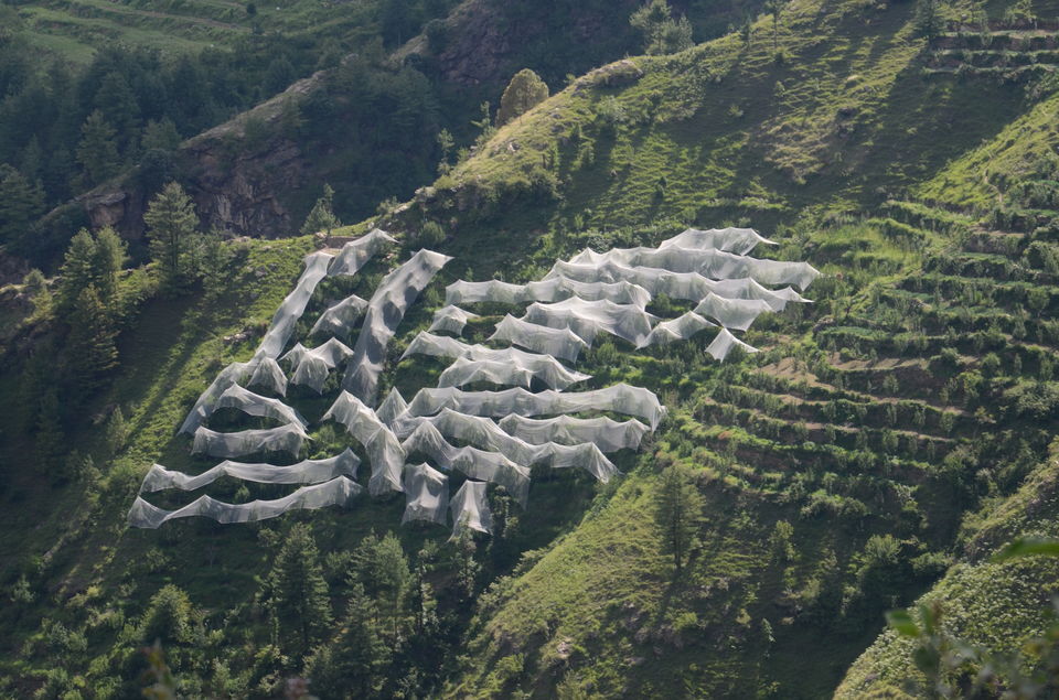 Photo of The Himalayan Sojourn- Part-I 1/8 by Bikram Jeet