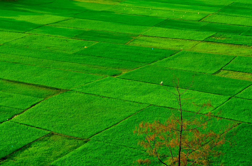 Photo of Apsarakonda- a hidden beauty by Bikram Jeet