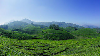 Photo of 3 Most Alluring Places in Kerala for Your Pre-Monsoon Trip 4/4 by Arindom Ghosh