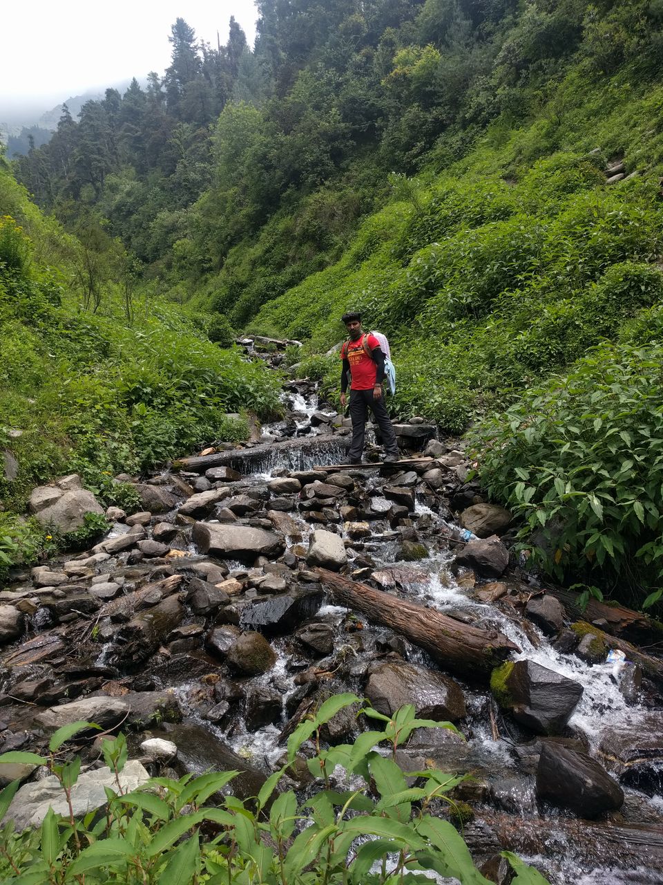 Photo of Looking for hidden waterfalls in Waichin Valley (and found some) by Vaibhav Gangrade