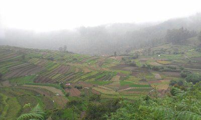 Photo of When we trekked in Slippers to avoid unnoticed leeches in shoes - Kukkal by Vaibhav Gangrade