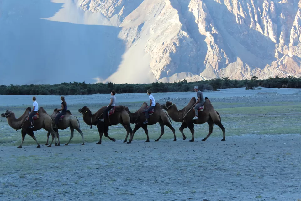 Photo of Nubra Valley, Leh by Swati Pandey