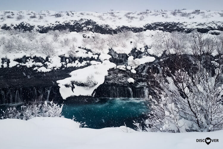 Photo of Top Reasons Why Iceland Is So Special and a Must-Visit Place 1/4 by Discover Iceland Tours