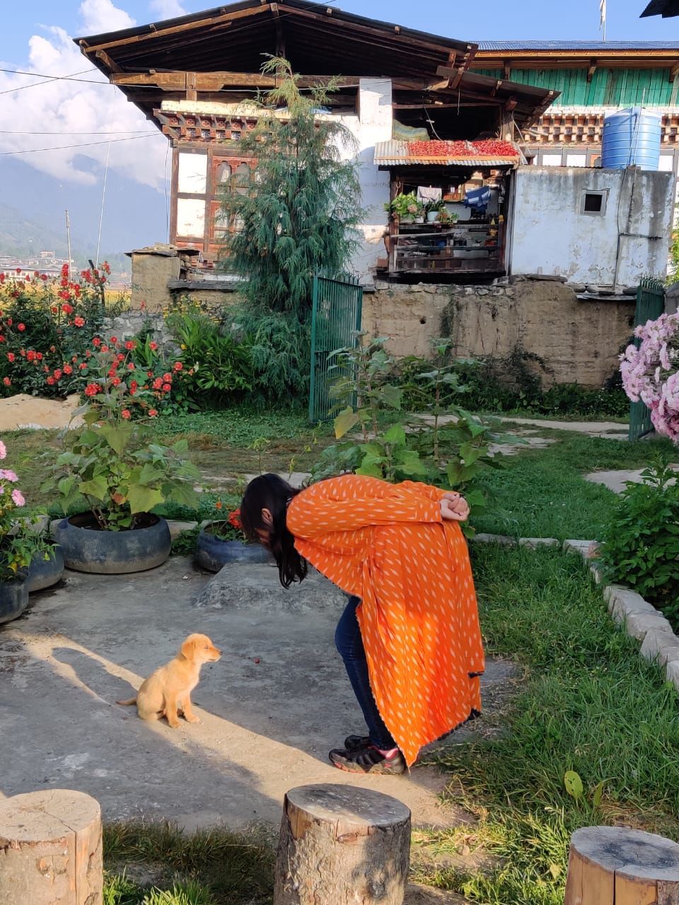 Photo of How This Homestay Became A Favourite Part of My Paro Visit 4/5 by Yashodhara Roy