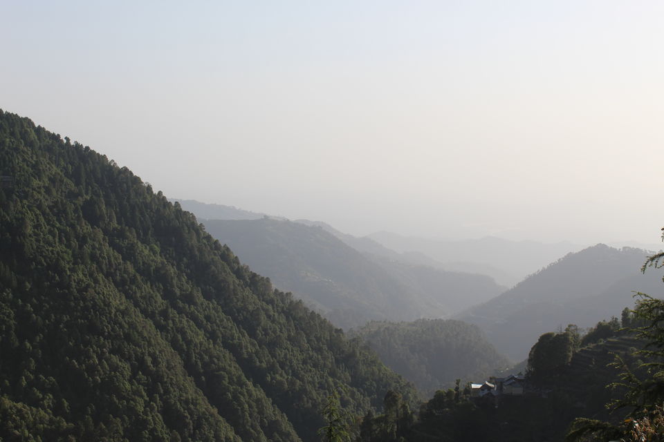 Photo of Why I Keep Daydreaming About The Dainkund Jot Valley Trek 1/3 by Yashodhara Roy