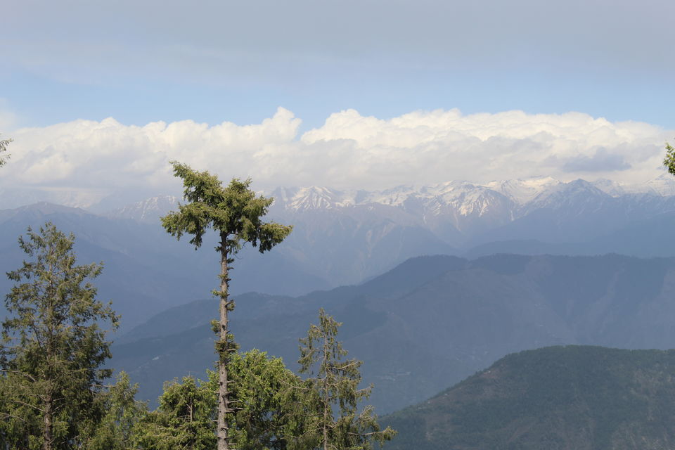 Photo of Why I Keep Daydreaming About The Dainkund Jot Valley Trek by Yashodhara Roy