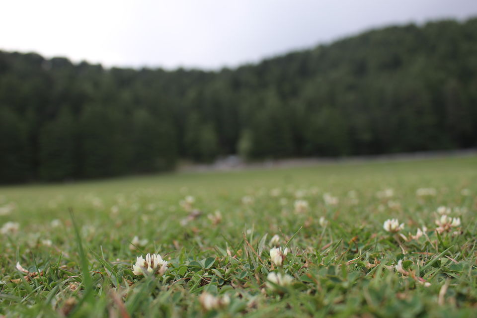 Photo of Why I Keep Daydreaming About The Dainkund Jot Valley Trek by Yashodhara Roy