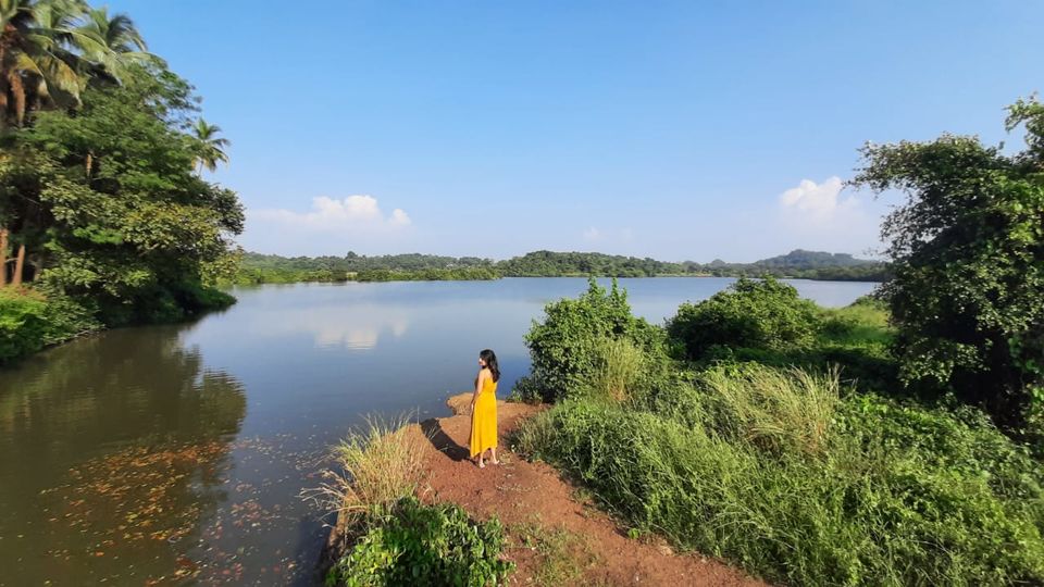 Photo of The Other Side of Goa 1/8 by Yashodhara Roy