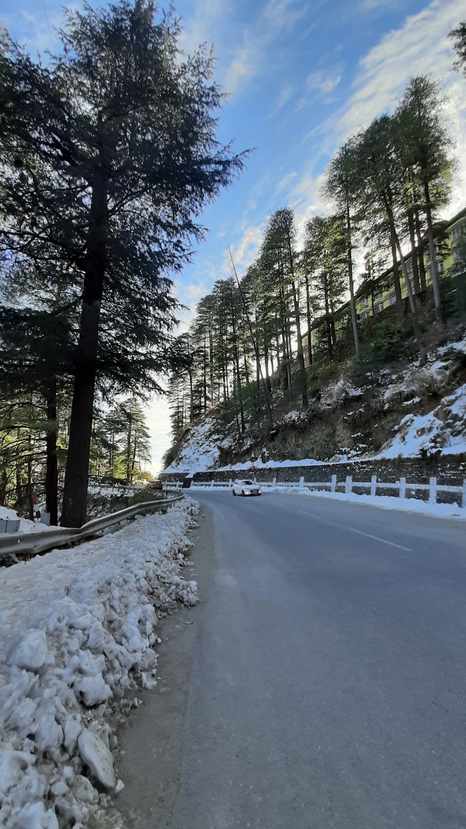 Photo of Why I Chose New Year's Day Over New Year's Eve - #2021 1/6 by Yashodhara Roy
